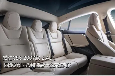 猎豹CS6 2007款 2.4L 四驱舒适型用的是什么变速箱？