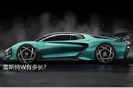雷斯特W有多长？