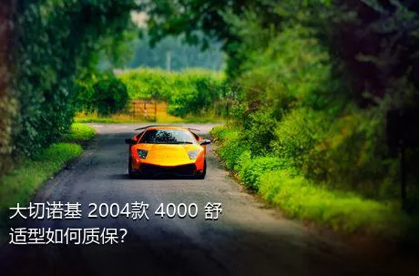 大切诺基 2004款 4000 舒适型如何质保？