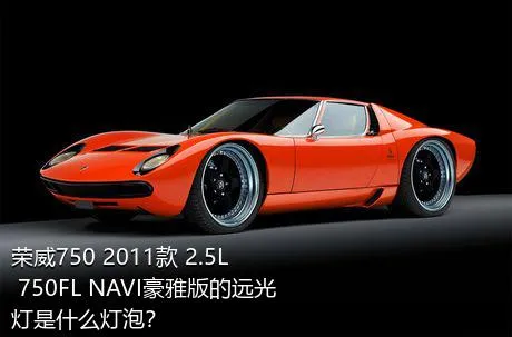荣威750 2011款 2.5L 750FL NAVI豪雅版的远光灯是什么灯泡？