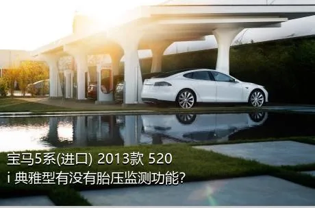 宝马5系(进口) 2013款 520i 典雅型有没有胎压监测功能？