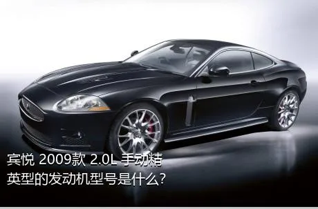 宾悦 2009款 2.0L 手动精英型的发动机型号是什么？