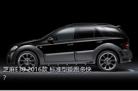 芝麻E30 2016款 标准型能跑多快？