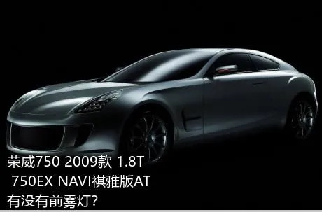 荣威750 2009款 1.8T 750EX NAVI祺雅版AT有没有前雾灯？