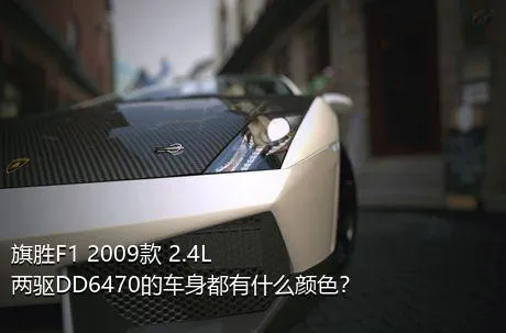 旗胜F1 2009款 2.4L 两驱DD6470的车身都有什么颜色？