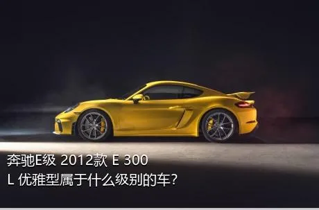 奔驰E级 2012款 E 300 L 优雅型属于什么级别的车？