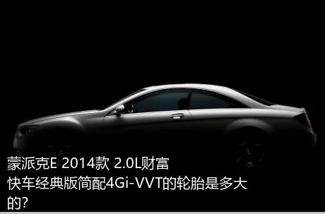 蒙派克E 2014款 2.0L财富快车经典版简配4Gi-VVT的轮胎是多大的？