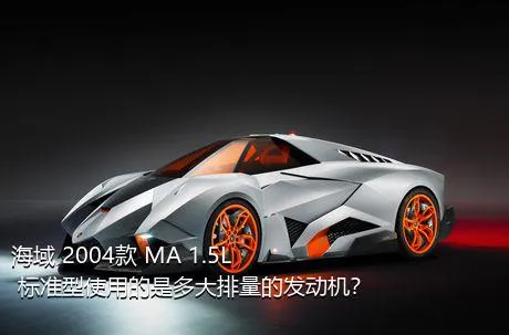 海域 2004款 MA 1.5L 标准型使用的是多大排量的发动机？