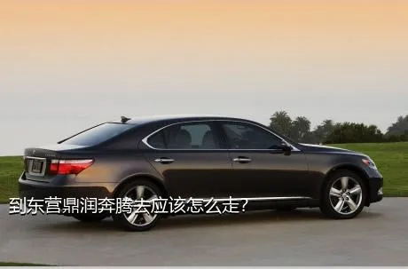 到东营鼎润奔腾去应该怎么走？