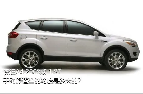 奥迪A4 2008款 1.8T 手动舒适型的轮胎是多大的？