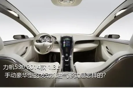 力帆530 2014款 1.3L 手动豪华型的发动机进气形式是怎样的？
