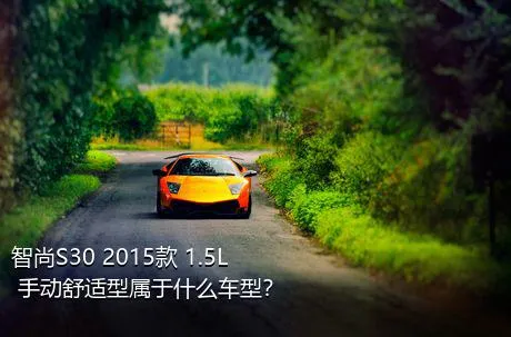 智尚S30 2015款 1.5L 手动舒适型属于什么车型？