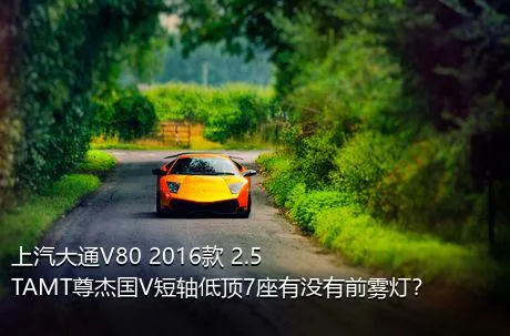 上汽大通V80 2016款 2.5TAMT尊杰国V短轴低顶7座有没有前雾灯？