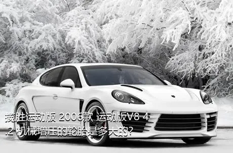 揽胜运动版 2006款 运动版V8 4.2 机械增压的轮胎是多大的？