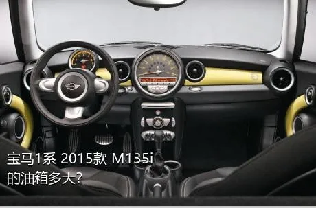 宝马1系 2015款 M135i的油箱多大？