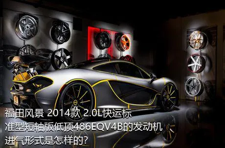 福田风景 2014款 2.0L快运标准型短轴版低顶486EQV4B的发动机进气形式是怎样的？