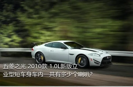五菱之光 2010款 1.0L新版立业型短车身车内一共有多少个喇叭？