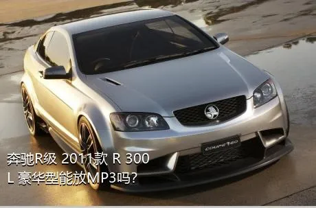 奔驰R级 2011款 R 300 L 豪华型能放MP3吗？