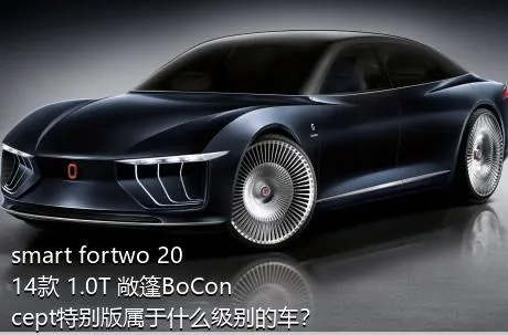 smart fortwo 2014款 1.0T 敞篷BoConcept特别版属于什么级别的车？