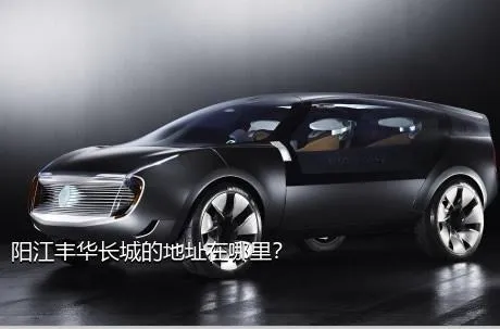 阳江丰华长城的地址在哪里？