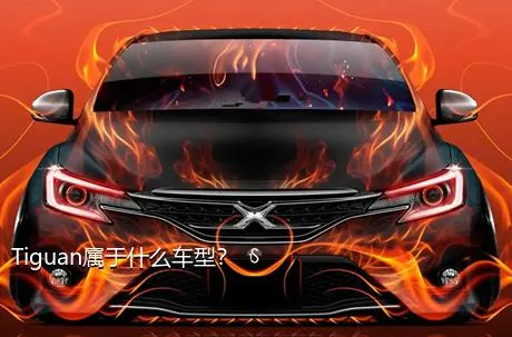 Tiguan属于什么车型？