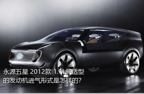永源五星 2012款 1.1L舒适型的发动机进气形式是怎样的？