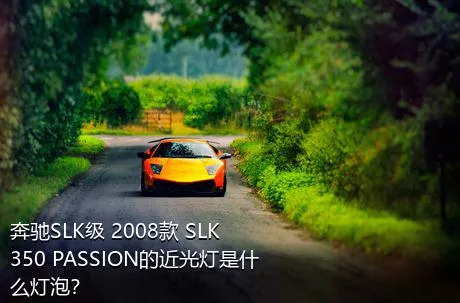 奔驰SLK级 2008款 SLK 350 PASSION的近光灯是什么灯泡？