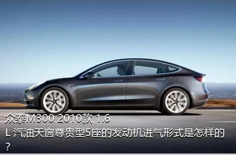 众泰M300 2010款 1.6L 汽油天窗尊贵型5座的发动机进气形式是怎样的？