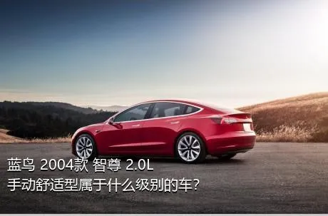 蓝鸟 2004款 智尊 2.0L 手动舒适型属于什么级别的车？