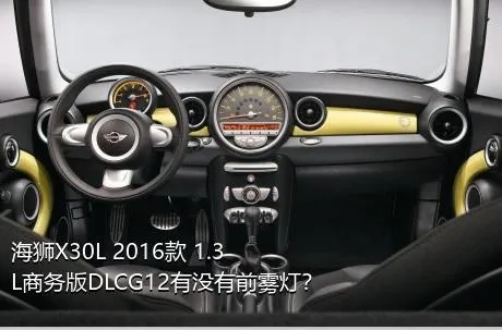 海狮X30L 2016款 1.3L商务版DLCG12有没有前雾灯？