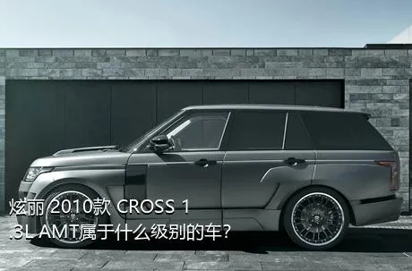 炫丽 2010款 CROSS 1.3L AMT属于什么级别的车？