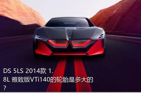 DS 5LS 2014款 1.8L 雅致版VTi140的轮胎是多大的？