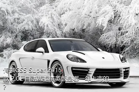 传祺GS5 Super 2015款 2.0L 自动两驱精英版是哪一年上市的？