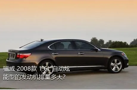骊威 2008款 1.6L 自动炫能型的发动机排量多大？