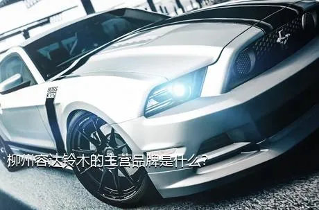柳州容达铃木的主营品牌是什么？