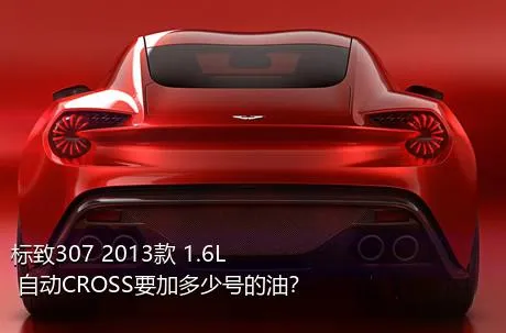 标致307 2013款 1.6L 自动CROSS要加多少号的油？