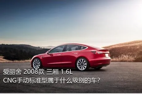 爱丽舍 2008款 三厢 1.6L CNG手动标准型属于什么级别的车？