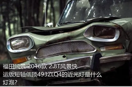 福田风景 2016款 2.8T风景快运版短轴低顶493ZLQ4的近光灯是什么灯泡？