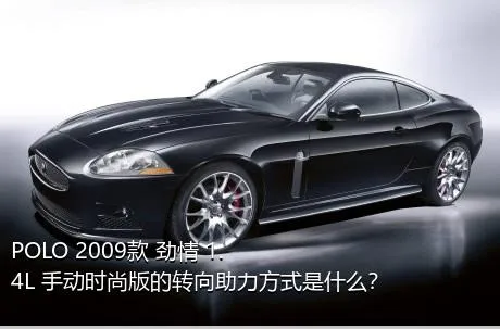 POLO 2009款 劲情 1.4L 手动时尚版的转向助力方式是什么？