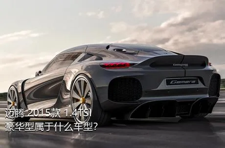 迈腾 2015款 1.4TSI 豪华型属于什么车型？