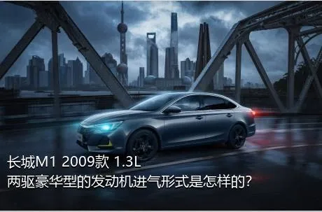 长城M1 2009款 1.3L 两驱豪华型的发动机进气形式是怎样的？