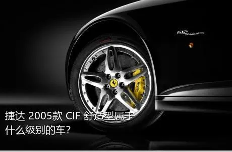 捷达 2005款 CIF 舒适型属于什么级别的车？