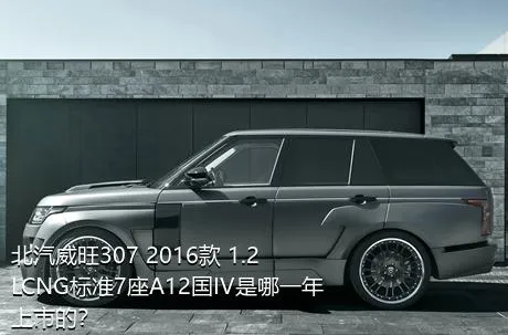 北汽威旺307 2016款 1.2LCNG标准7座A12国IV是哪一年上市的？