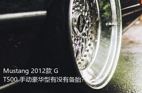 Mustang 2012款 GT500 手动豪华型有没有备胎？