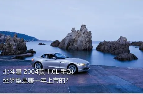 北斗星 2004款 1.0L 手动经济型是哪一年上市的？