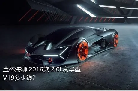 金杯海狮 2016款 2.0L豪华型V19多少钱？