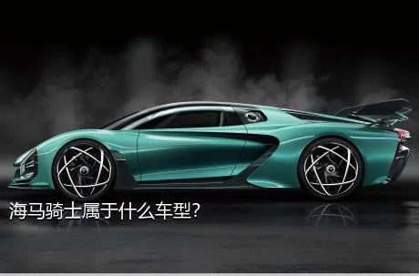 海马骑士属于什么车型？