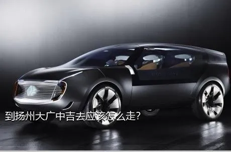 到扬州大广中吉去应该怎么走？