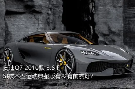 奥迪Q7 2010款 3.6 FSI技术型运动典藏版有没有前雾灯？