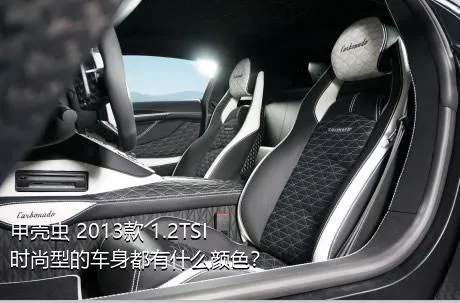 甲壳虫 2013款 1.2TSI 时尚型的车身都有什么颜色？